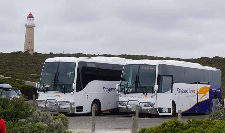 Sealink Scania K320IB Coach Design 49 & K360IB 60